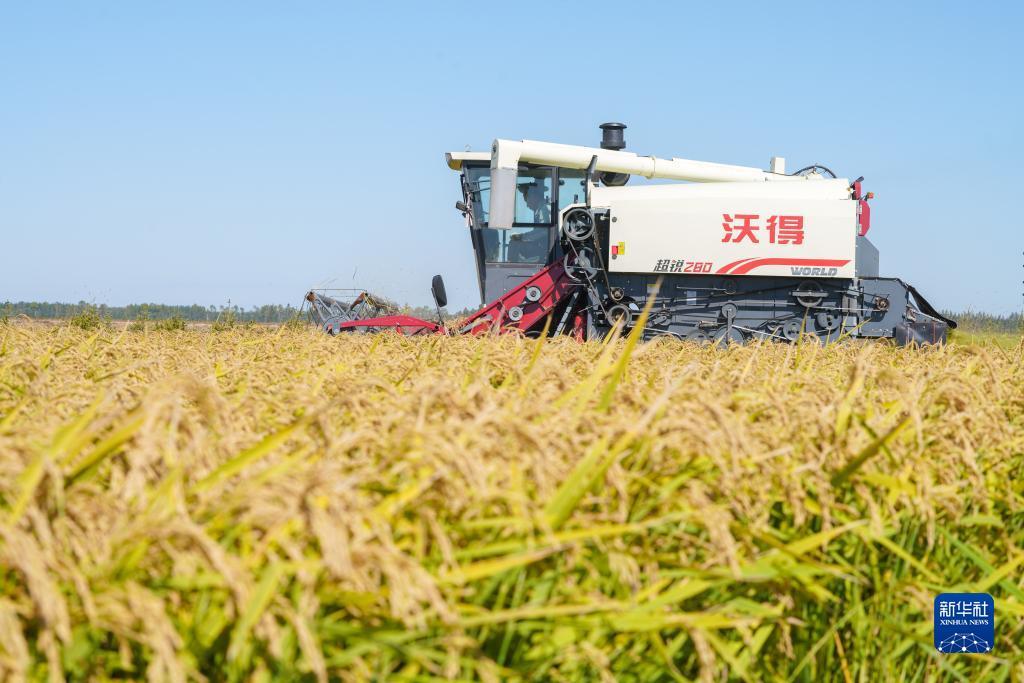 百家乐长龙打法